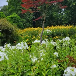 Moss Bank Park - St Helens