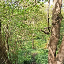 Sankey Valley Park - St Helens