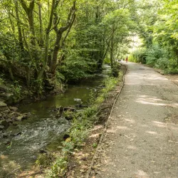 Sankey Valley Park - St Helens