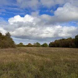 Sankey Valley Park - St Helens