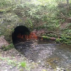 Sankey Valley Park - St Helens