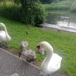 Sankey Valley Park - St Helens