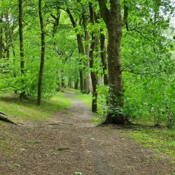 Sankey Valley Park - St Helens