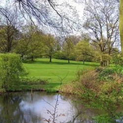 Sherdley Park - St Helens