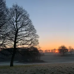 Sherdley Park - St Helens