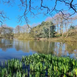 Sherdley Park - St Helens