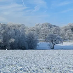 Sherdley Park - St Helens