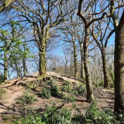 Sherdley Park - St Helens