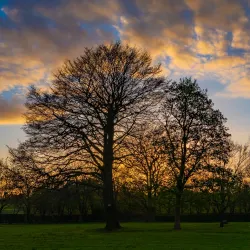 Sherdley Park - St Helens