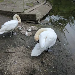 Taylor Park - St Helens