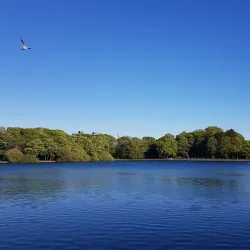 Taylor Park - St Helens