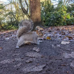 Taylor Park - St Helens