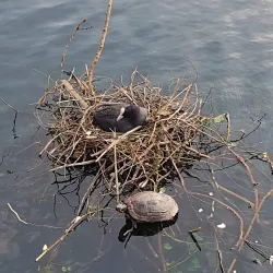 Taylor Park - St Helens