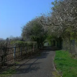 Thatto Heath Heritage Trail - St Helens