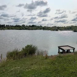 Doxey Marshes Nature Reserve - Stafford