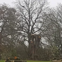 Doxey Marshes Nature Reserve - Stafford