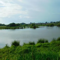 Doxey Marshes Nature Reserve - Stafford