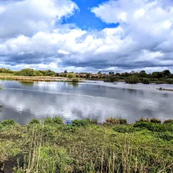 Doxey Marshes Nature Reserve - Stafford