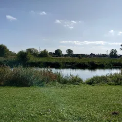 Doxey Marshes Nature Reserve - Stafford