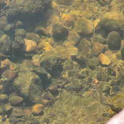 River Sow Walks - Stafford