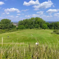 Stafford Castle - Stafford