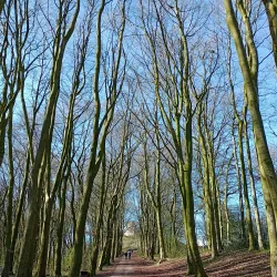 Stafford Castle - Stafford