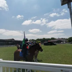 Staffordshire County Showground - Stafford