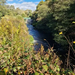 Etherow Country Park - Stockport