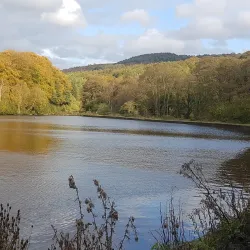 Etherow Country Park - Stockport