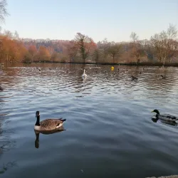 Etherow Country Park - Stockport