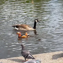 Etherow Country Park - Stockport