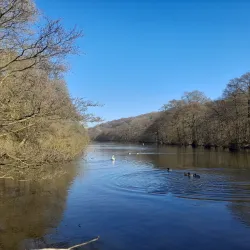Etherow Country Park - Stockport