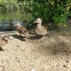 Etherow Country Park - Stockport