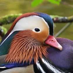 Etherow Country Park - Stockport