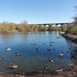 Reddish Vale Country Park - Stockport