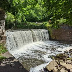 Reddish Vale Country Park - Stockport