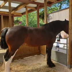 Reddish Vale Country Park - Stockport