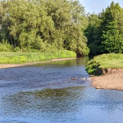 Reddish Vale Country Park - Stockport