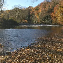 Woodbank Park - Stockport