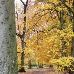 Woodbank Park - Stockport