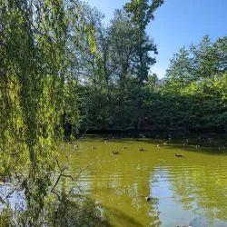 Woodbank Park - Stockport