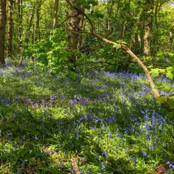 Canal Walks and Cycle Routes - Stoke-on-Trent