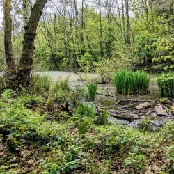 Canal Walks and Cycle Routes - Stoke-on-Trent