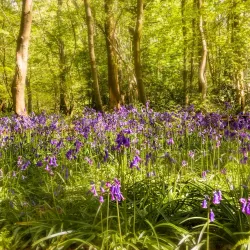 Canal Walks and Cycle Routes - Stoke-on-Trent
