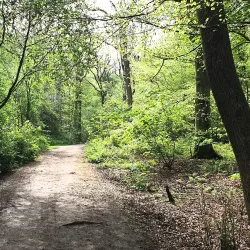Canal Walks and Cycle Routes - Stoke-on-Trent