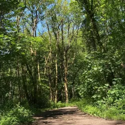 Canal Walks and Cycle Routes - Stoke-on-Trent