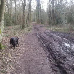 Canal Walks and Cycle Routes - Stoke-on-Trent