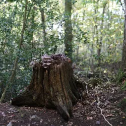 Canal Walks and Cycle Routes - Stoke-on-Trent