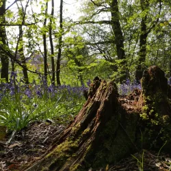 Canal Walks and Cycle Routes - Stoke-on-Trent