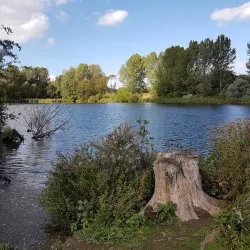 Ford Green Hall - Stoke-on-Trent